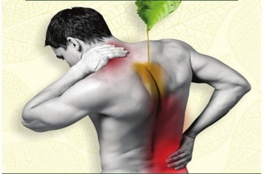 Chronic Back Pain  - Naturopathy 1